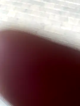 kamo012000 online show from 10.09.25