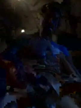 chaleureuxdesdames online show from 11.29.25