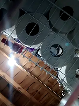 Single lagunero online show from 03.16.26