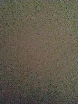 LeoMaduroSP online show from 11.19.25