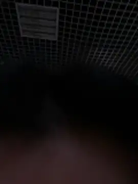 Liza Will online show from 02.20.26