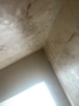 Noa Todokoro online show from 10.16.25