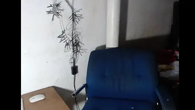 BebaFoxx online show from 02.20.26