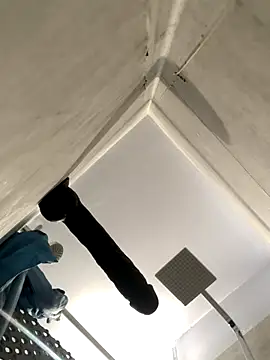 BobKat online show from 11.15.25