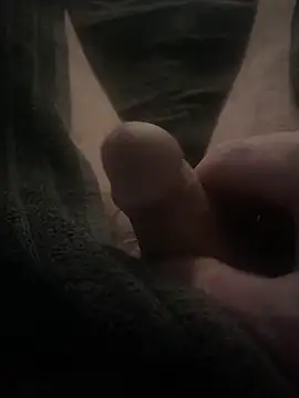 BobKat online show from 02.08.26