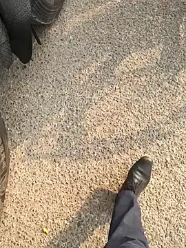 mysticeyes backup online show from 11.15.25