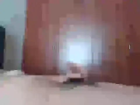 Culazodeantonellarocuzzo online show from 02.25.26