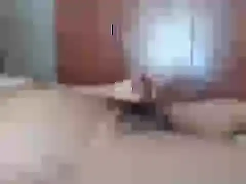 Culazodeantonellarocuzzo online show from 02.26.26