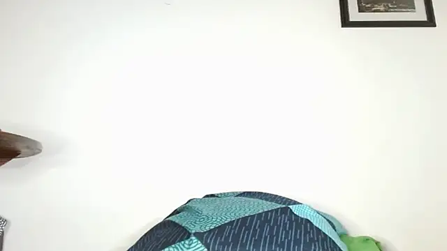 FERCHO 369 online show from 09.12.25