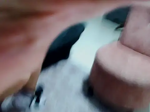 Snapshot of kata-gomez chatting on 02.21.26 kata-gomez online show from 02.21.26