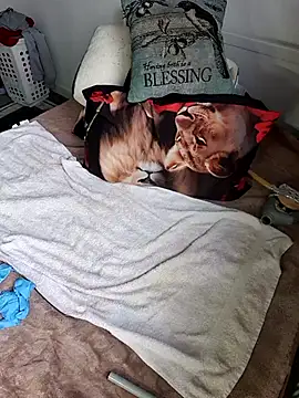 Wilsonn86 online show from 02.09.26