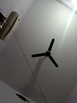 monster-dickk online show from 12.02.25