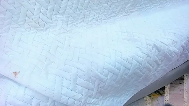 Snapshot of crystal_sm chatting on 02.13.26 crystal sm online show from 02.13.26