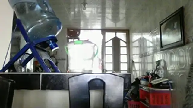 ALANA 150 online show from 01.19.26