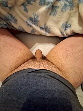 Pegasus9 online show from 03.07.26