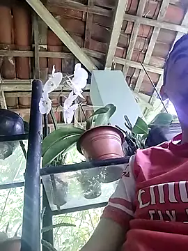 Snapshot of Boragozarvem chatting on 10.07.25 Boragozarvem online show from 10.07.25