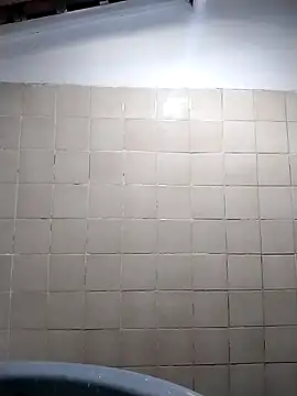 Snapshot of Boragozarvem chatting on 10.18.25 Boragozarvem online show from 10.18.25