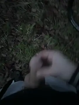 Snapshot of Disturbeeflarge chatting on 01.15.26 Disturbeeflarge online show from 01.15.26