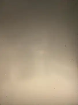 Snapshot of sasatimido chatting on 10.14.25 sasatimido online show from 10.14.25