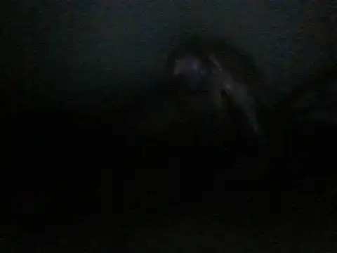 Snapshot of itachi_thebro1 chatting on 06.10.26 itachi thebro1 online show from 06.10.26