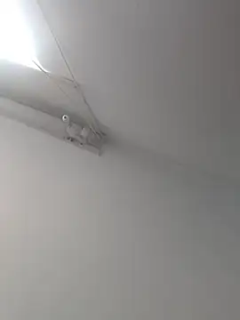 Tattoboy19cm online show from 10.19.25