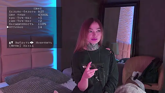 AriWild online show from 04.08.26