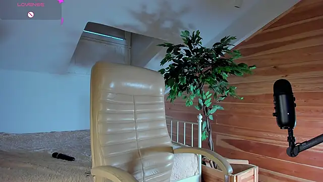 Snapshot of AuroraShoww chatting on 11.20.25 AuroraShoww online show from 11.20.25