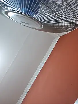 mojaymort online show from 02.07.26