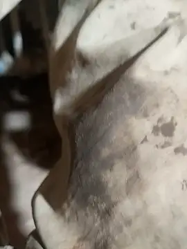 Snapshot of ParousFlow chatting on 10.15.25 ParousFlow online show from 10.15.25