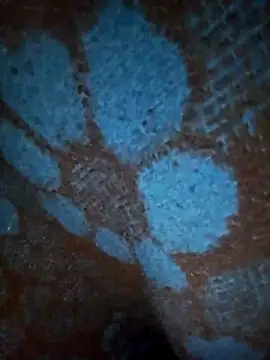 ParousFlow online show from 01.19.26