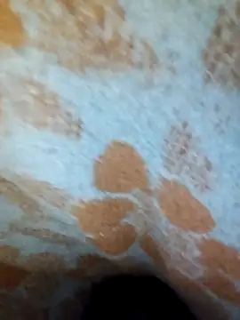 ParousFlow online show from 04.15.26