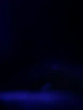 curis4270panda online show from 02.19.26