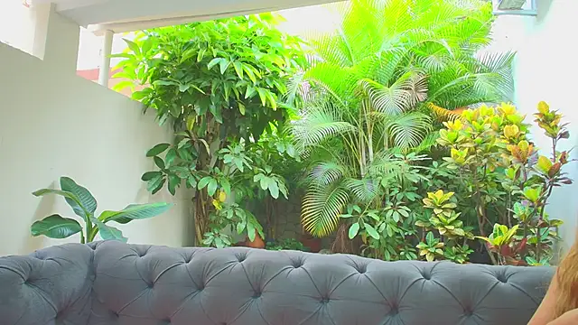 sharon greey online show from 11.21.25