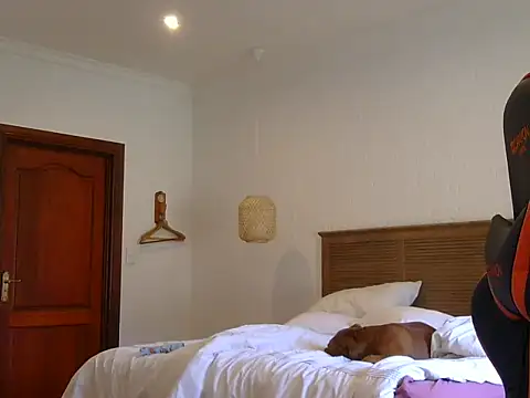 Snapshot of TroyDieselXXX chatting on 11.23.25 TroyDieselXXX online show from 11.23.25