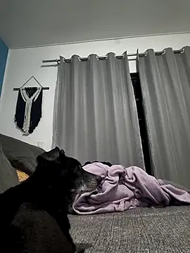 mikeara90 online show from 10.22.25