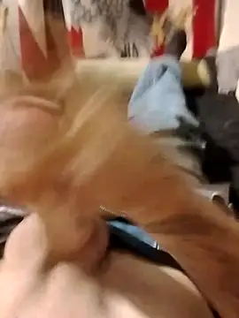 helldonk online show from 04.25.26