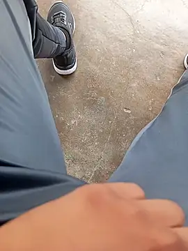 pauzudao 12 online show from 03.03.26