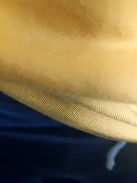 pauzudao 12 online show from 03.03.26