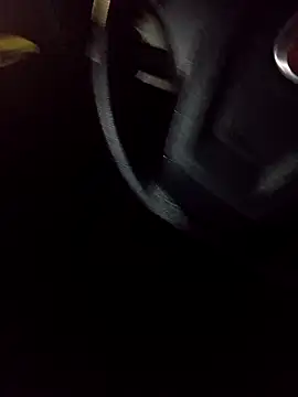 pauzudao 12 online show from 03.04.26