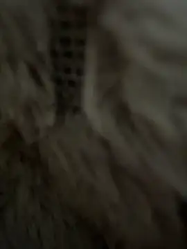 anonimgirl18old online show from 02.25.26