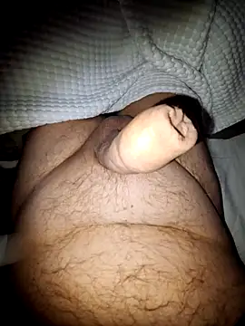 minnetird online show from 10.27.25