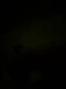 Bogglyyy online show from 04.14.26