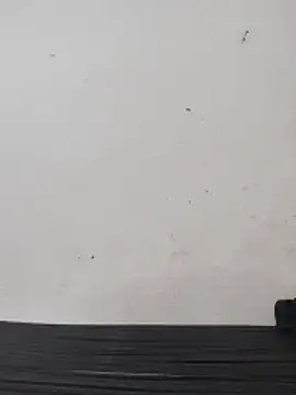 Telugu person12 online show from 02.28.26