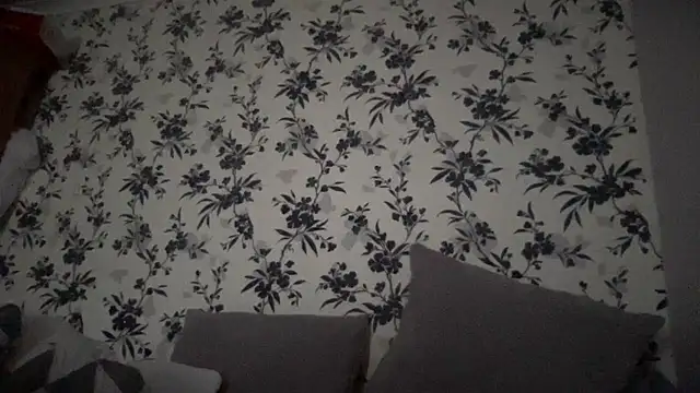 Big8inchUncutCock online show from 04.10.26