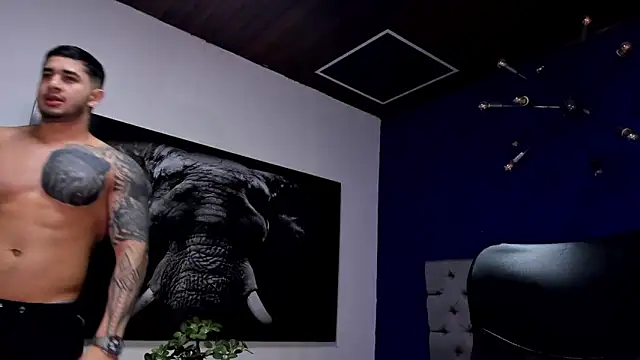 king falconer online show from 12.20.25