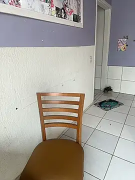 CamillyBlum online show from 11.13.25