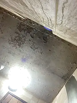 freedmar online show from 12.16.25