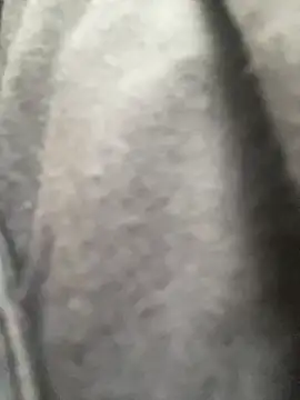 freedmar online show from 04.18.26