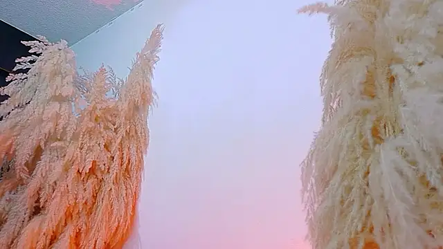 JulietaDavis online show from 02.19.26