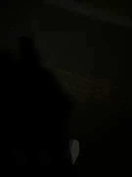 Snapshot of SL_NIKI_PUBLIC chatting on 12.22.25 SL NIKI PUBLIC online show from 12.22.25